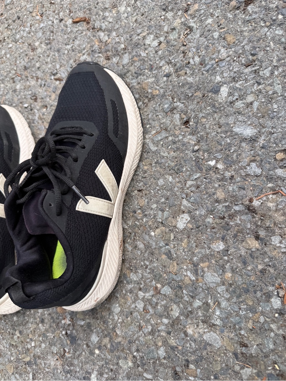 Veja Black and Cream Athletic Sneakers